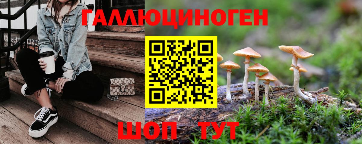 Псилоцибиновые грибы Psilocybe Верхняя Салда